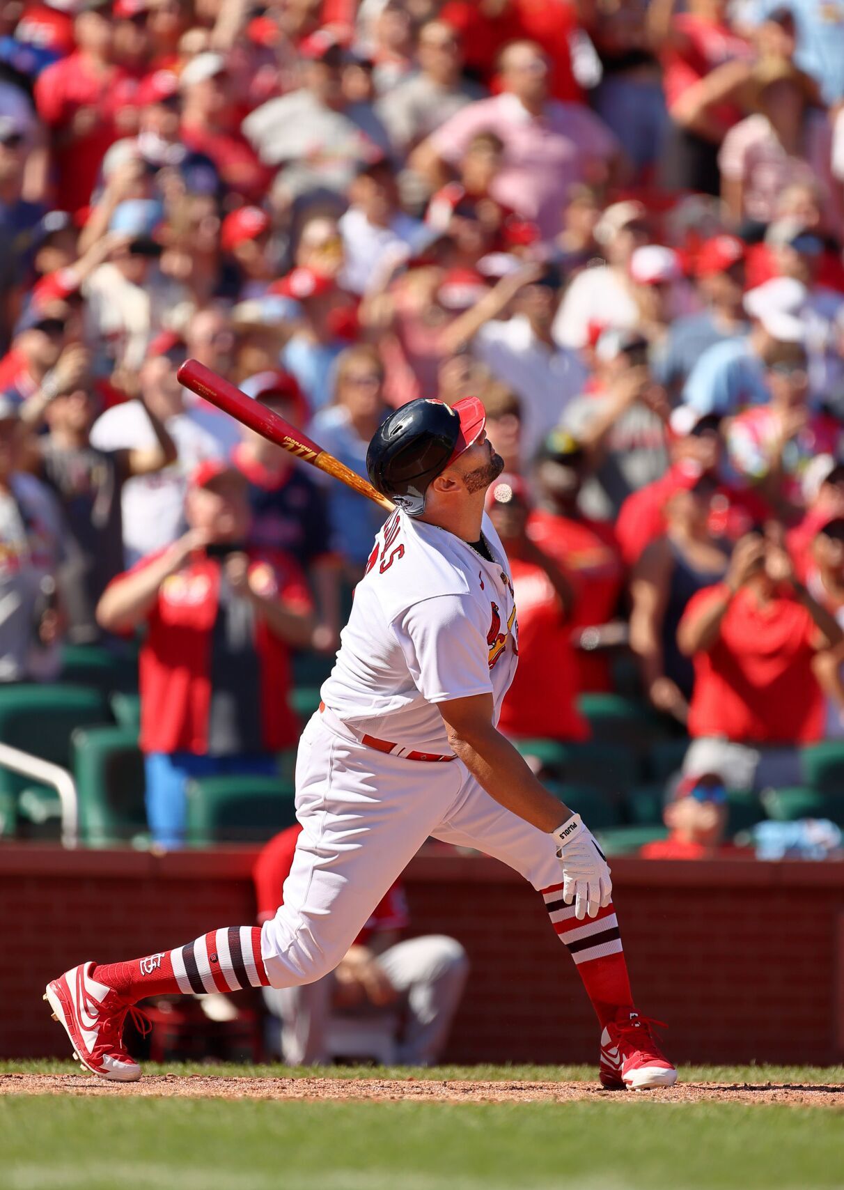 Cincinnati Reds vs St. Louis Cardinals